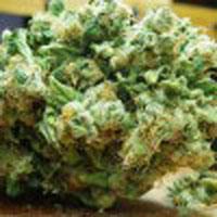 mazar cannabis pics