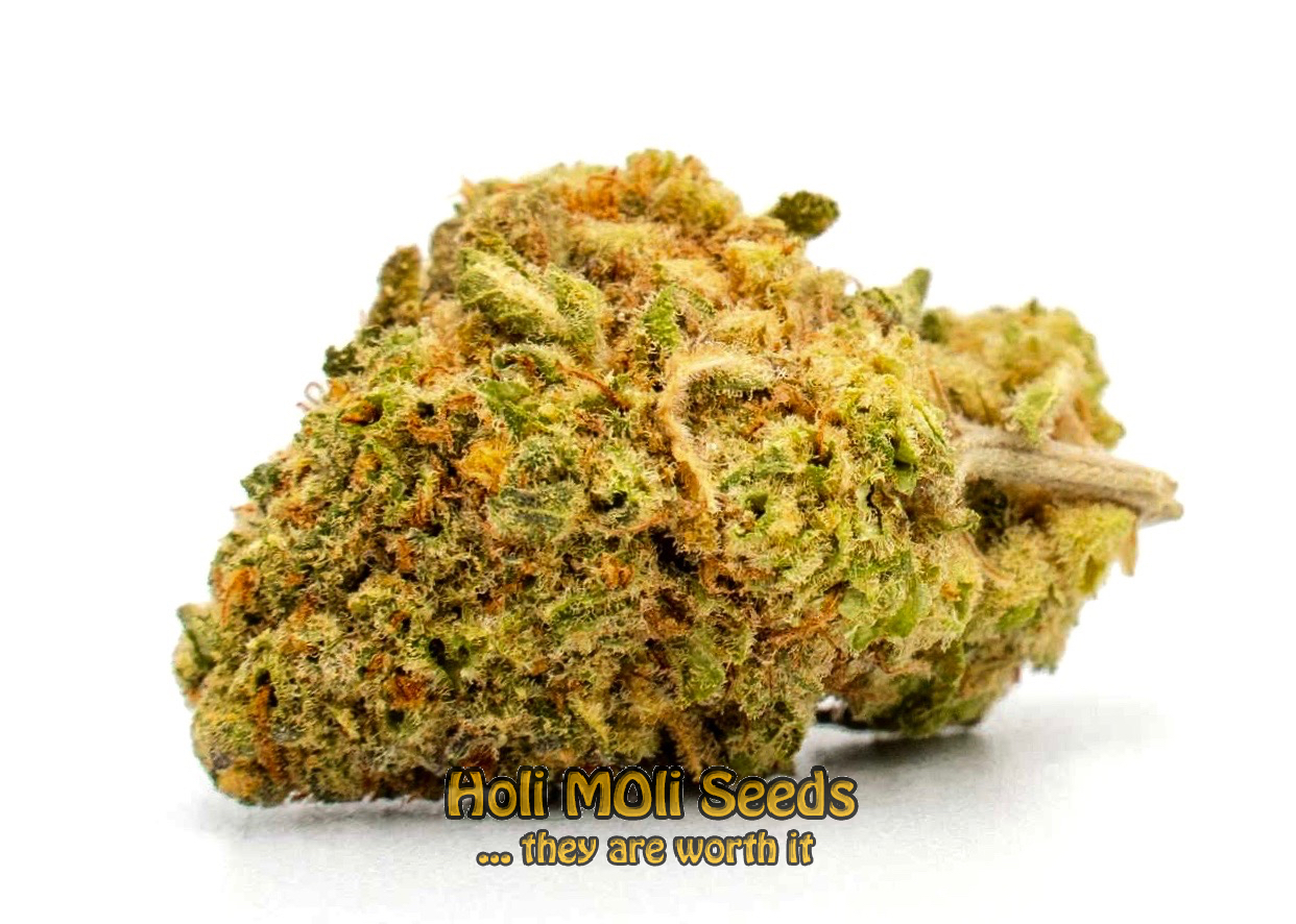 original lemon pie cannabis pics