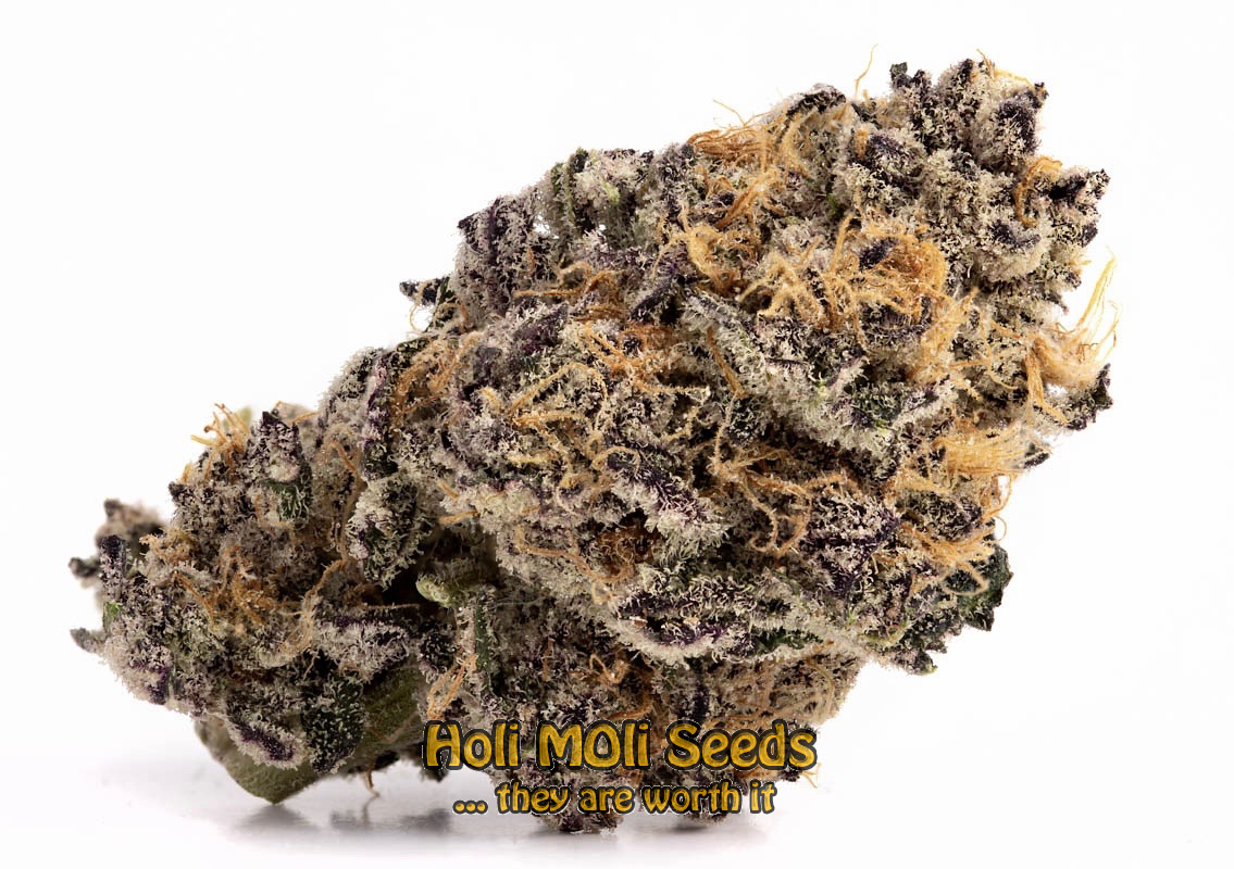 peanut butter breath regs cannabis pics