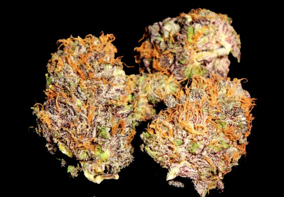 purple kush cannabis pics