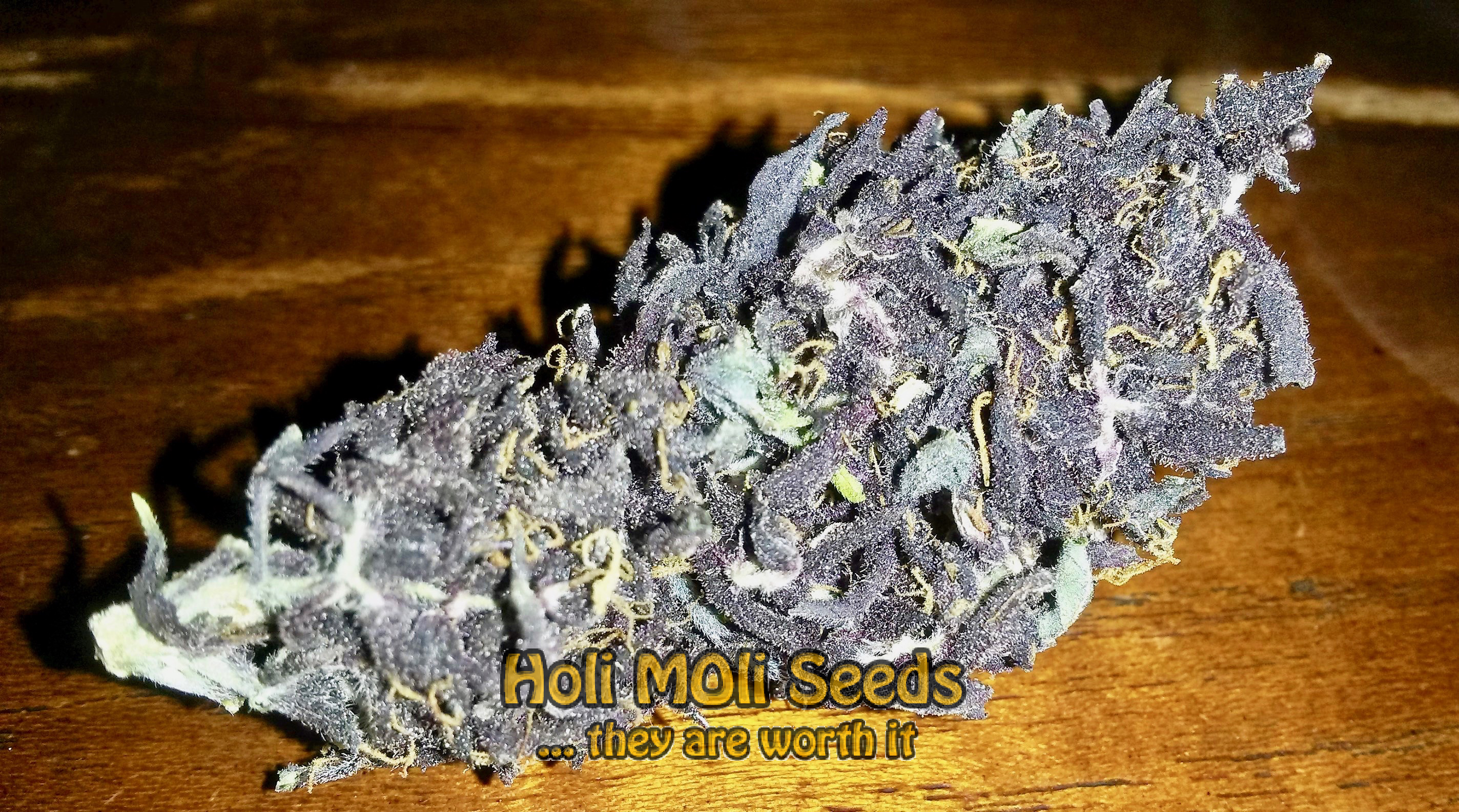 purple panty dropper cannabis pics