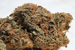 trainwreck photo