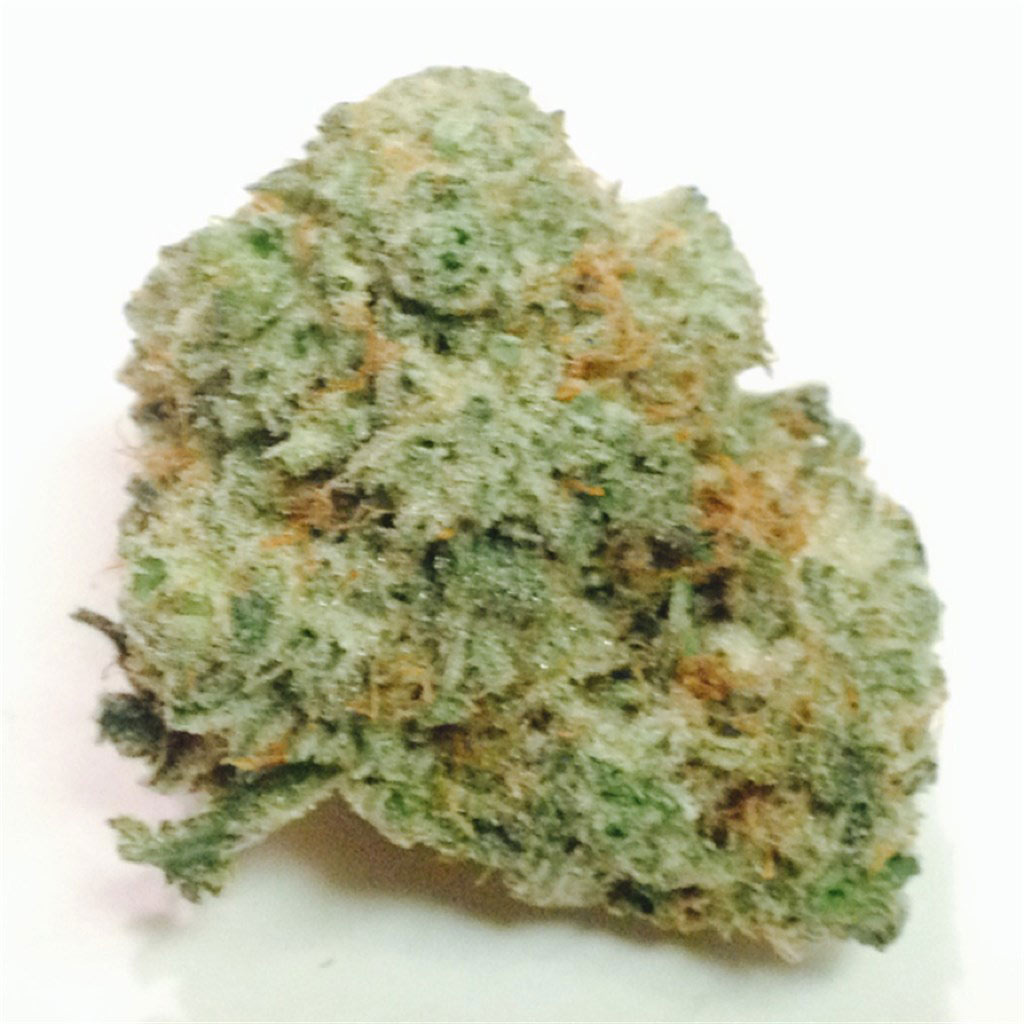 white gorrilla Marijuana Pics