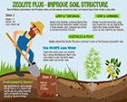 Soil Zeolite