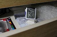 Germinating in a drawer