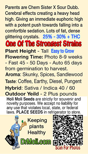 gorilla glue reg holi moli card pic back