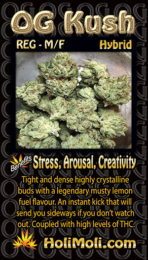 og kush reg holi moli card pic front