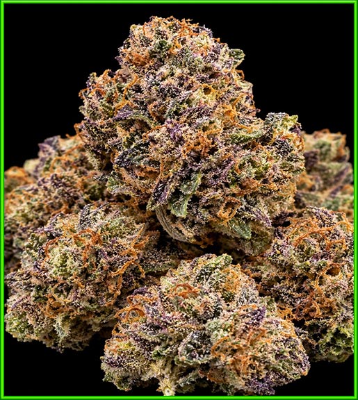 Grape Cough cannabis strain photo